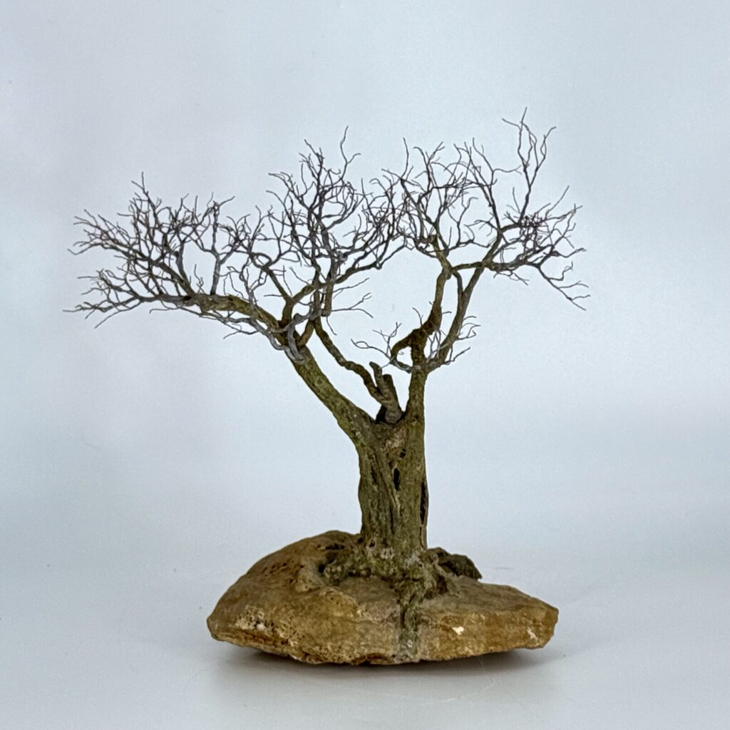 IMG_2094